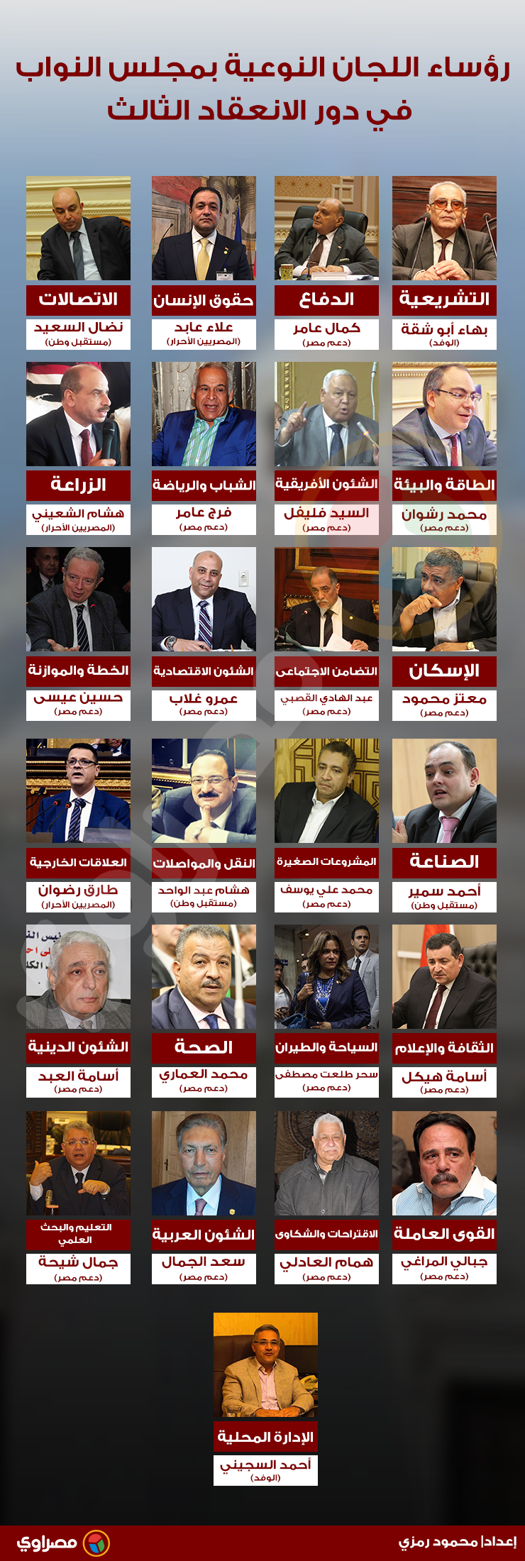 تشكيل اللجان النوعية